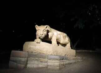 StateKaidz.com: What It Offers and Why It’s Gaining Attention StateKaidz.com: What It Offers and Why It’s Gaining Attention