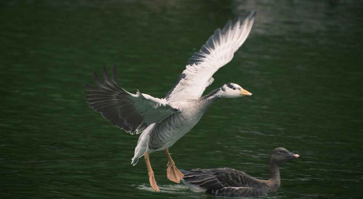 Customer Reviews and Recommendations