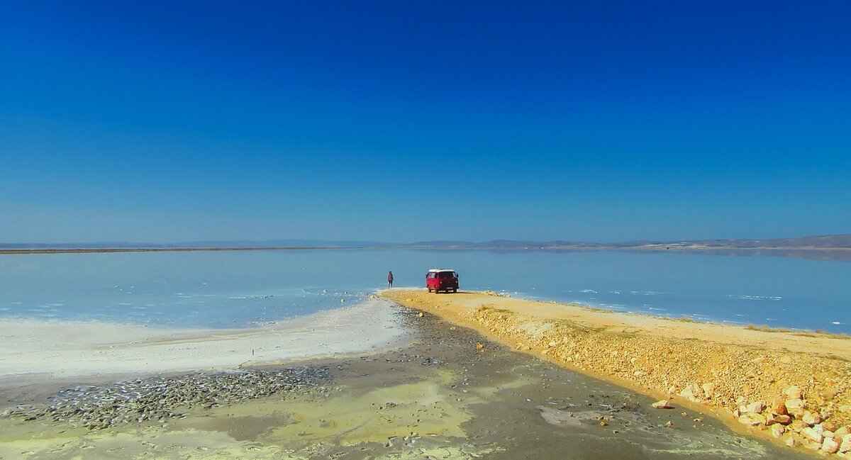 Where to Find the Best Steelers Bars