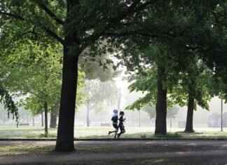 Steelers Bar Near Me: Where to Watch the Next Big Game Steelers Bar Near Me: Where to Watch the Next Big Game