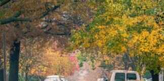 Step-by-Step: How to Replace Windshield Wipers Easily Step-by-Step: How to Replace Windshield Wipers Easily