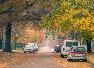 Step-by-Step: How to Replace Windshield Wipers Easily Step-by-Step: How to Replace Windshield Wipers Easily