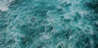 Subway Surfers Unlimited Keys: How to Unlock Them # Subway Surfers Unlimited Keys: How to Unlock Them  Subway Surfers Unlimited Keys: How to Unlock Them # Subway Surfers Unlimited Keys: How to Unlock Them