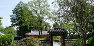 Sundae: Korea’s Unique Blood Sausage Street Snack Sundae: Korea’s Unique Blood Sausage Street Snack