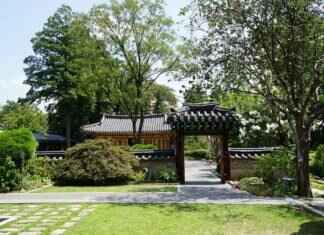 Sundae: Korea’s Unique Blood Sausage Street Snack Sundae: Korea’s Unique Blood Sausage Street Snack