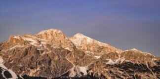 Sunny D Seltzer: Taste Test, Reviews, and Where to Find It Sunny D Seltzer: Taste Test, Reviews, and Where to Find It