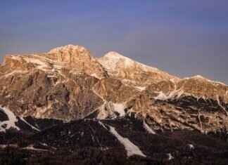 Sunny D Seltzer: Taste Test, Reviews, and Where to Find It Sunny D Seltzer: Taste Test, Reviews, and Where to Find It