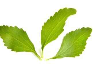 Sweeteners & Unique Sugars in Asian Cooking Sweeteners & Unique Sugars in Asian Cooking