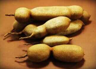 Tamarind: The Tangy Secret Behind Southeast Asian Dishes Tamarind: The Tangy Secret Behind Southeast Asian Dishes