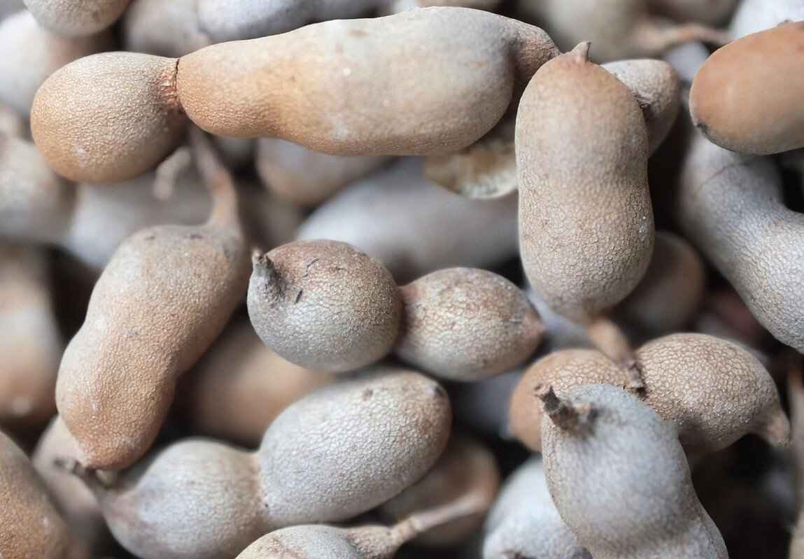 What Nutrients are Found in Tamarind?