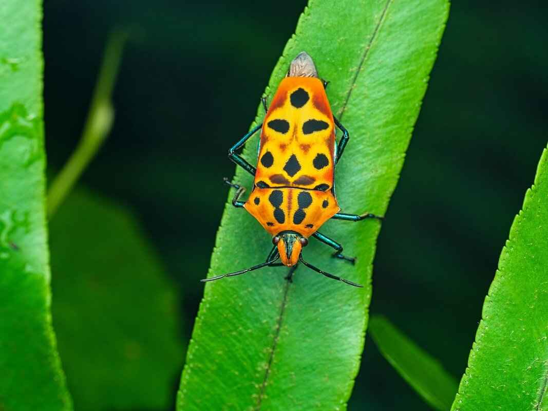 Target Windshield Wipers: Affordable Options That Get the Job Done 2 What Types of Windshield Wipers Are Available at Target?