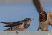 Taylor Swift’s Producer Hints at New Album Release This Year Taylor Swift's Producer Hints at New Album Release This Year