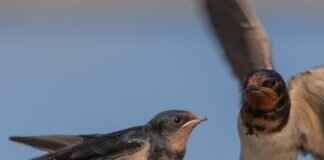 Taylor Swift’s Producer Hints at New Album Release This Year Taylor Swift's Producer Hints at New Album Release This Year