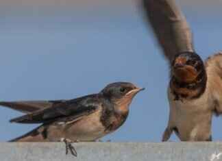 Taylor Swift’s Producer Hints at New Album Release This Year Taylor Swift's Producer Hints at New Album Release This Year