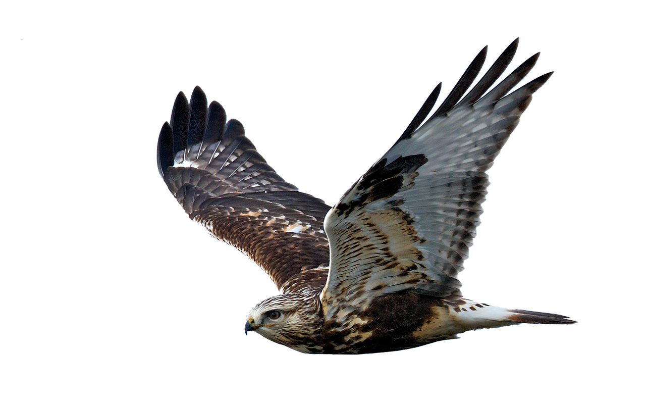 Taylor Swift's Producer Hints at New Album Release This Year 3 What Can We Expect from Taylor Swift's New Album?