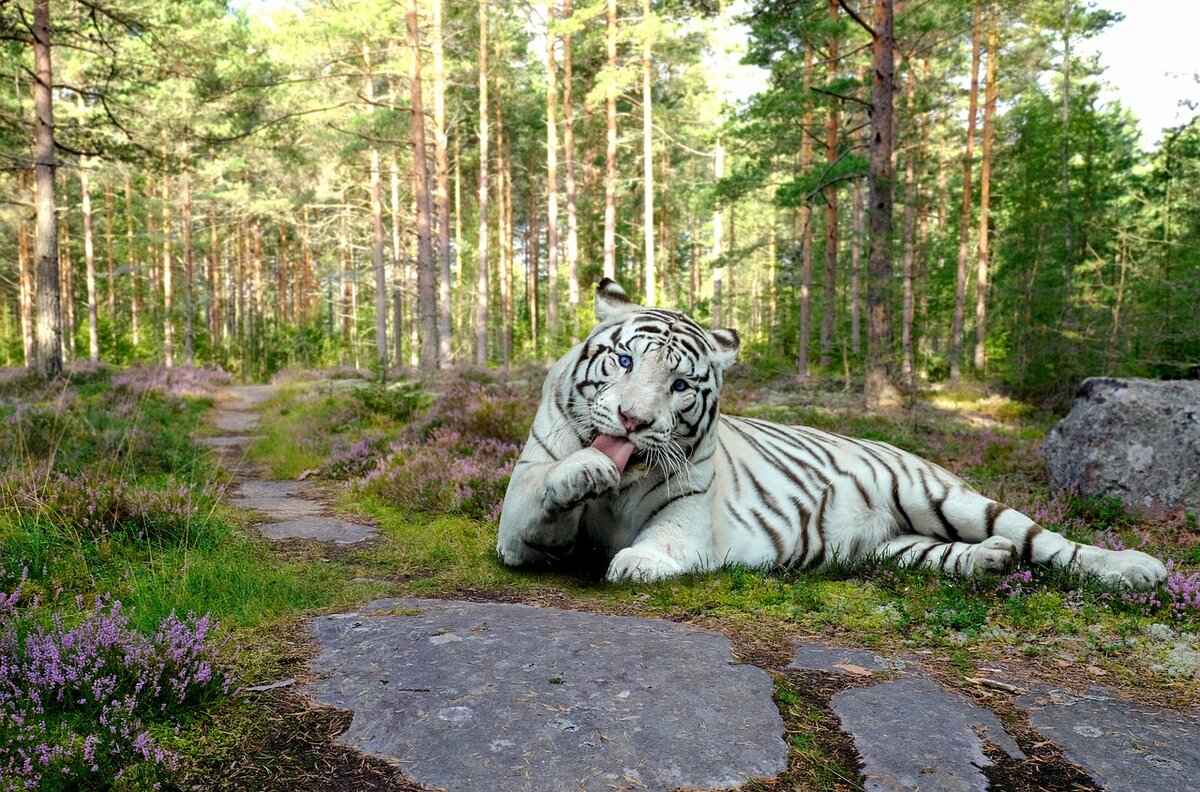 Types of Kantha Stitching