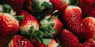 The Best Cambodian Street Foods You’ve Never Heard Of The Best Cambodian Street Foods You’ve Never Heard Of