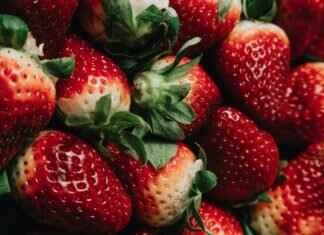 The Best Cambodian Street Foods You’ve Never Heard Of The Best Cambodian Street Foods You’ve Never Heard Of