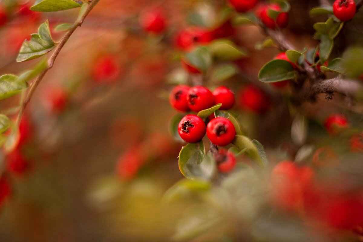 What Role Does Climate Control Play?