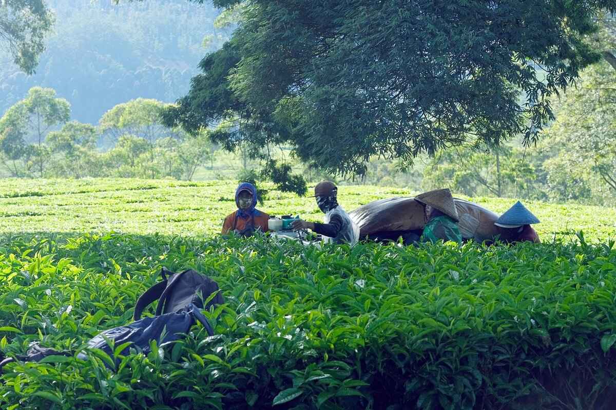 6. Darjeeling: The Queen of the Hills