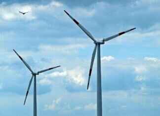 The Best Eco-Friendly Night Dresses for Sustainable Comfort The Best Eco-Friendly Night Dresses for Sustainable Comfort