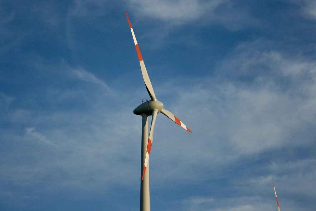 The Best Eco-Tourism Spots in West Bengal You Need to Visit 5 5. Kalimpong Eco Park