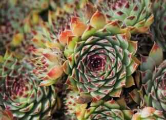 The Best Emma Stone Films: A Must-Watch Collection of Her Greatest Hits The Best Emma Stone Films: A Must-Watch Collection of Her Greatest Hits