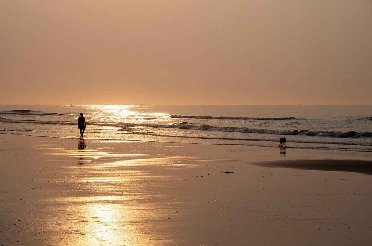 Budget-Friendly Goalkeeper Jersey Options