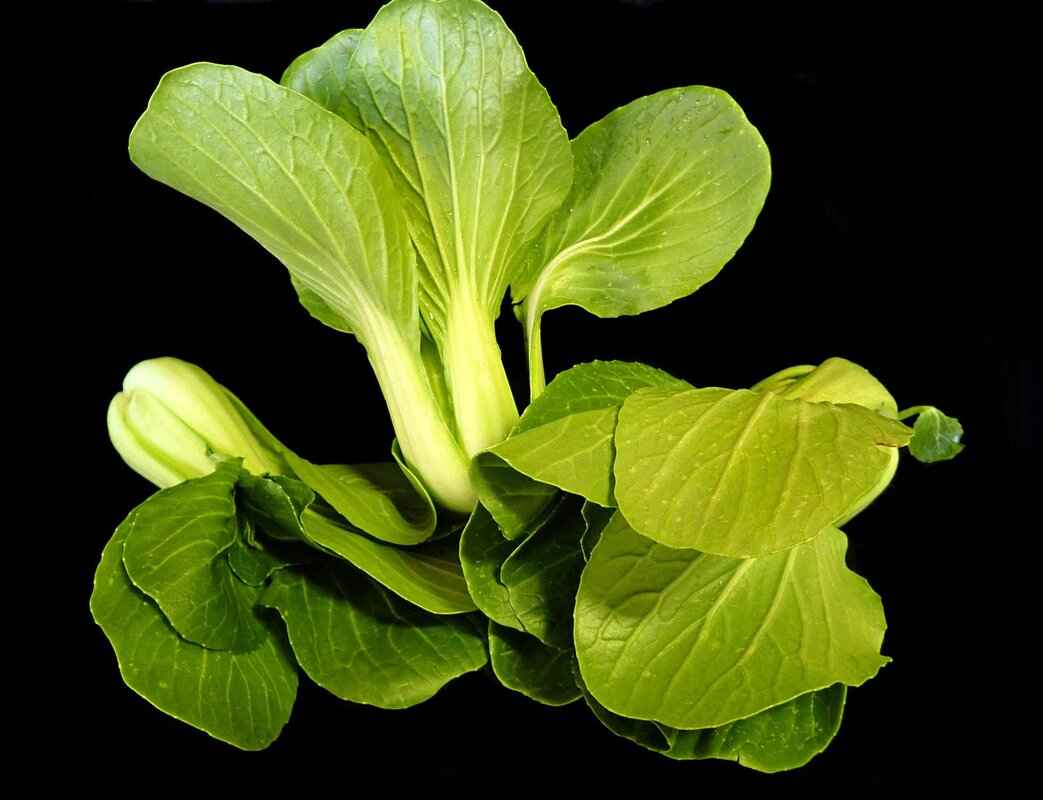 The Best Knives for Asian Cooking and How to Use Them 3 Choosing the Right Knife for Your Needs