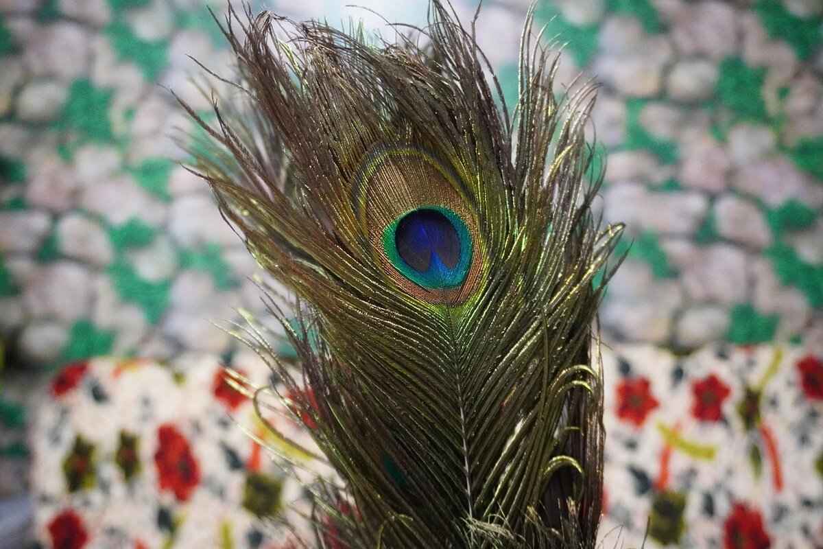 Eco-Friendly Options for Night Dresses