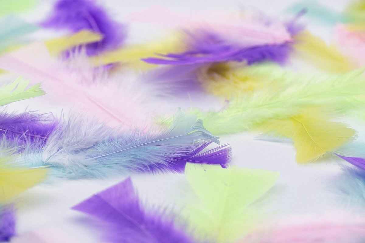 Customer Reviews: What Do Users Say?