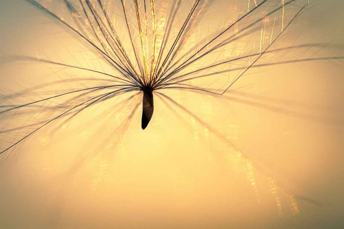 Why Choose Lightweight Fabrics?