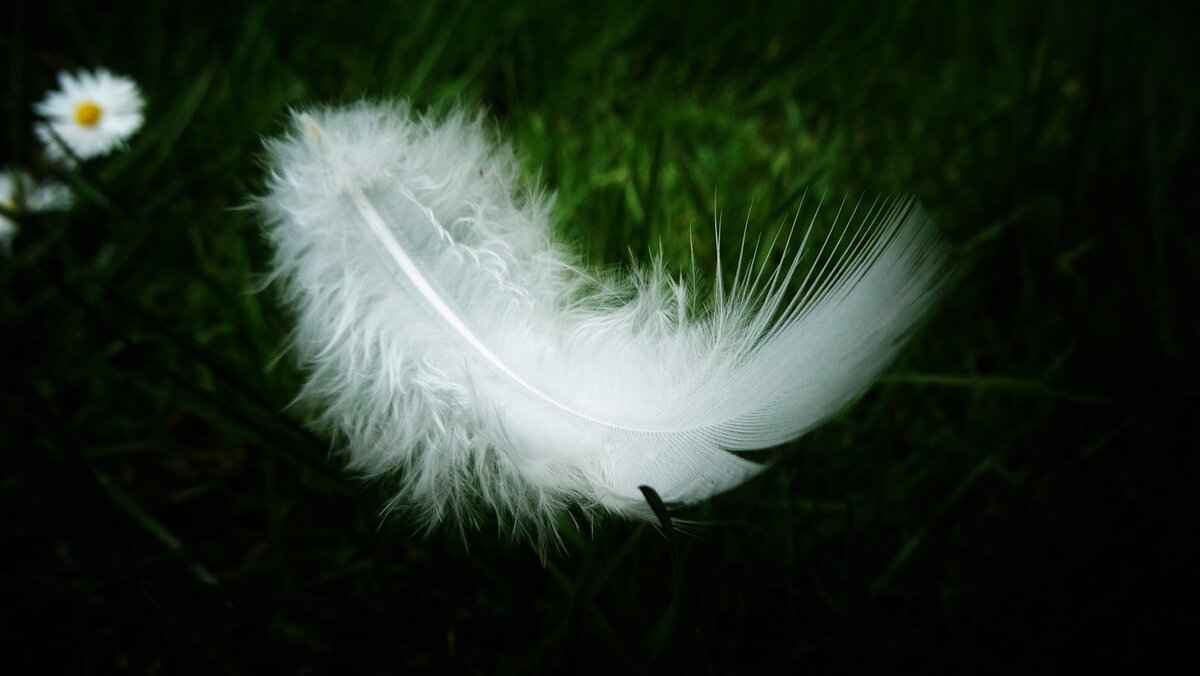 Best Colors and Patterns for Summer Nights