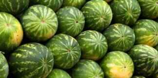 The Best Night Markets in China for Food Lovers The Best Night Markets in China for Food Lovers