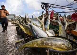 The Best Night Markets in Taiwan for Foodies The Best Night Markets in Taiwan for Foodies
