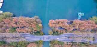 The Best Places to Stay in West Bengal: A Complete Accommodation Guide The Best Places to Stay in West Bengal: A Complete Accommodation Guide