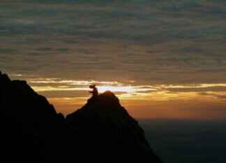 The Best Remote Part-Time Jobs for College Graduates The Best Remote Part-Time Jobs for College Graduates