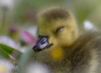 The Best Ryan Gosling and Emma Stone Movies You Need to Watch The Best Ryan Gosling and Emma Stone Movies You Need to Watch