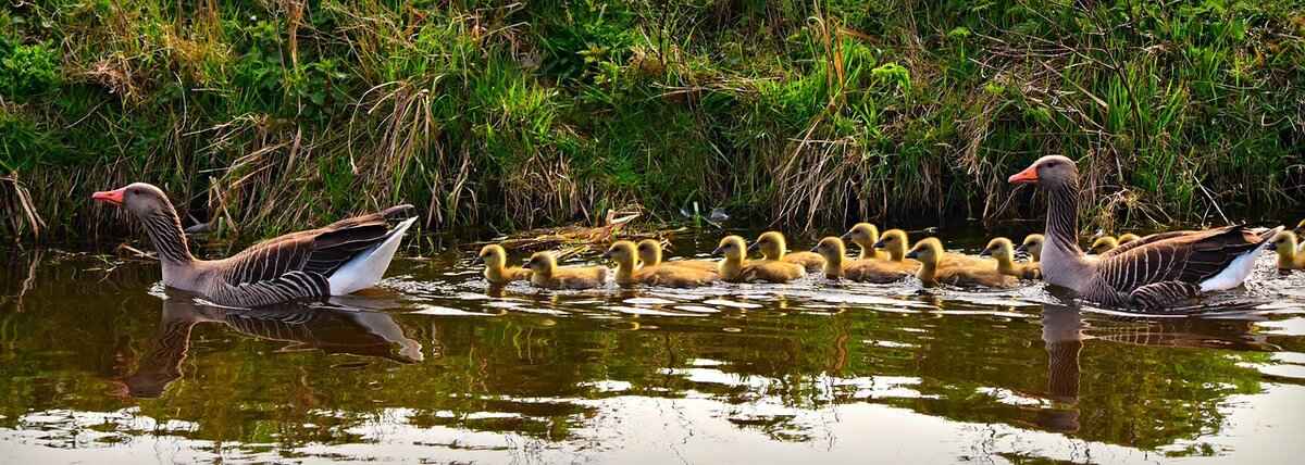 The Best Ryan Gosling and Emma Stone Movies You Need to Watch 1 What Makes Ryan Gosling and Emma Stone a Dynamic Duo?