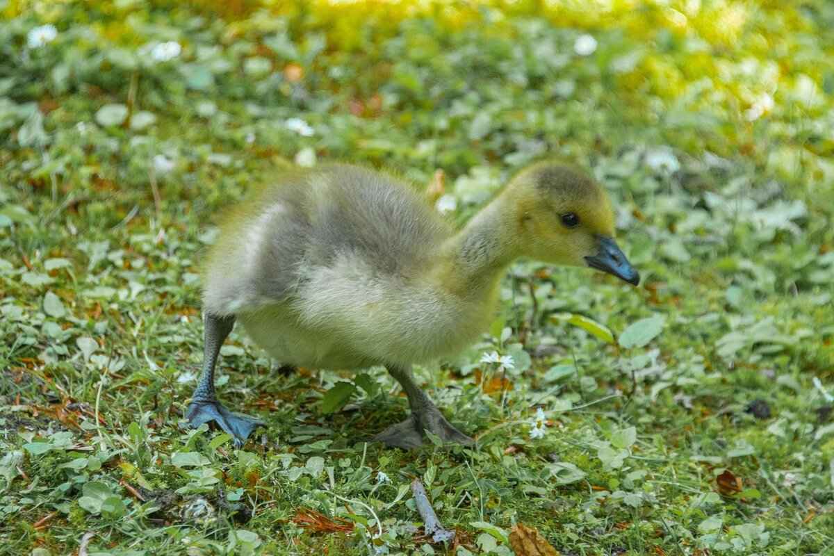 The Best Ryan Gosling and Emma Stone Movies You Need to Watch 3 How Their Collaborations Have Evolved Over Time