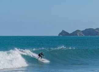 The Best Subway Surfers Hack APK: Does It Work? The Best Subway Surfers Hack APK: Does It Work?