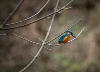 The Best Way to Keep Your Night Dress Looking Elegant & Fresh The Best Way to Keep Your Night Dress Looking Elegant & Fresh