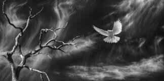 The Dead Guy Next Door: A Book Review & Analysis The Dead Guy Next Door: A Book Review & Analysis