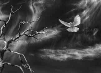 The Dead Guy Next Door: A Book Review & Analysis The Dead Guy Next Door: A Book Review & Analysis