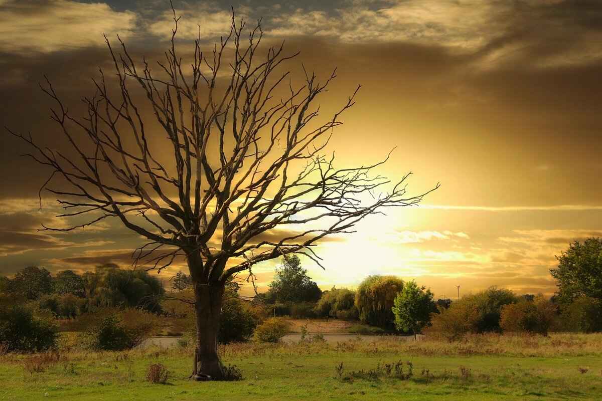 How Can Readers Relate to the Story?