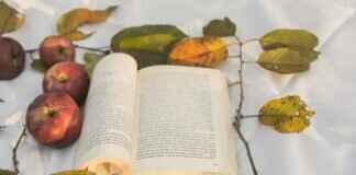 The Devilish Son-in-Law: A Must-Read for Romance Fans The Devilish Son-in-Law: A Must-Read for Romance Fans