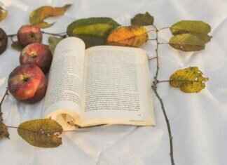 The Devilish Son-in-Law: A Must-Read for Romance Fans The Devilish Son-in-Law: A Must-Read for Romance Fans