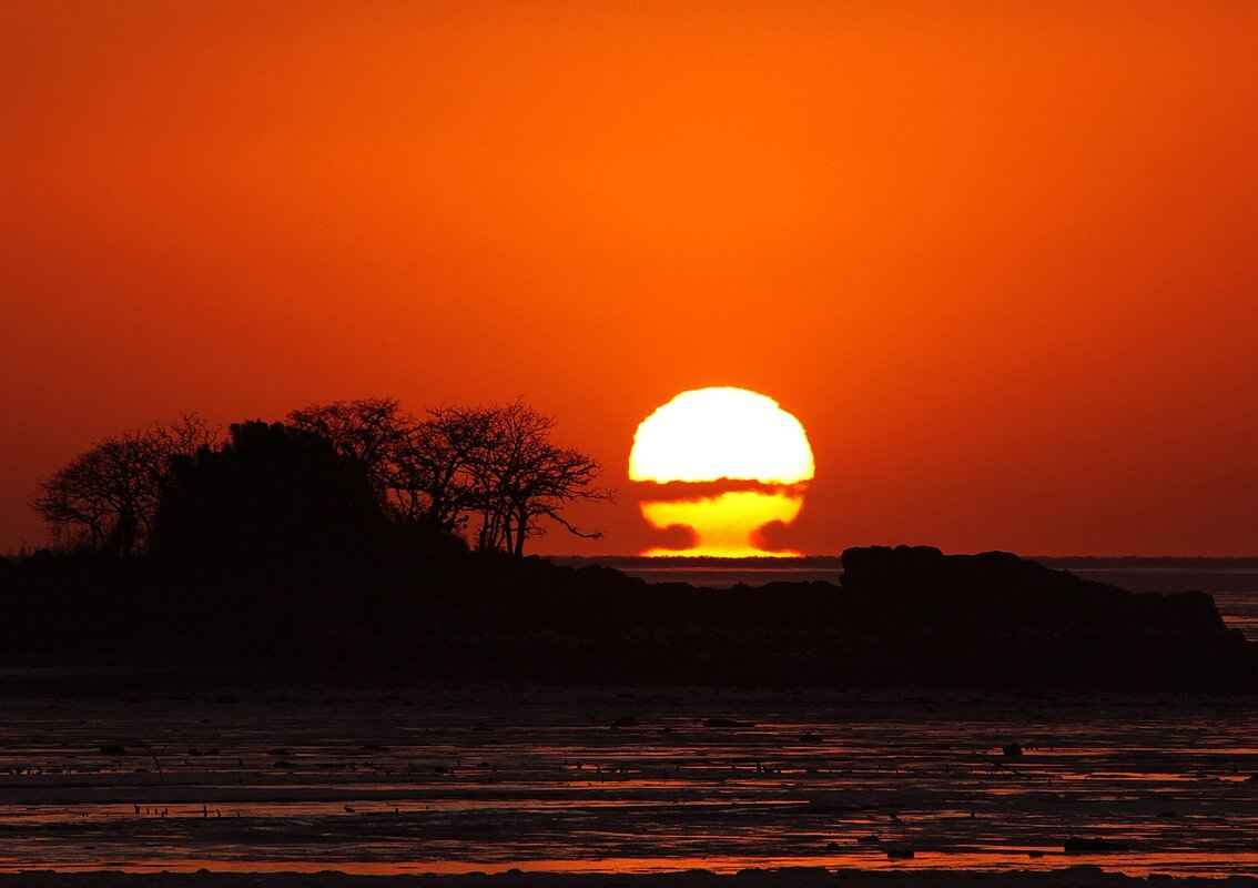 The Diary of West Bengal: Exploring the State’s Rich Culture and History 1 A Glimpse into West Bengal's History