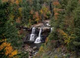 The Districts of West Bengal: A Complete Breakdown of All Major Regions The Districts of West Bengal: A Complete Breakdown of All Major Regions