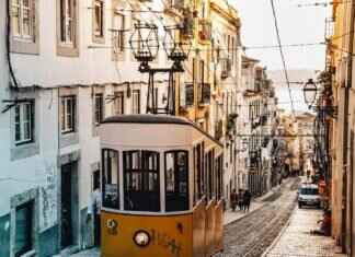 The History and Evolution of Indian Street Food The History and Evolution of Indian Street Food